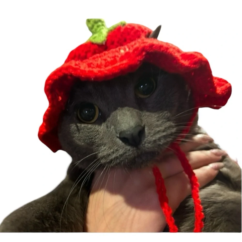 Red Strawberry Knit Cat Hat - Cute Pet Accessory